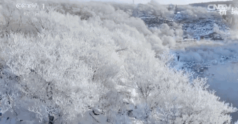 4.gif