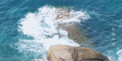 5.gif