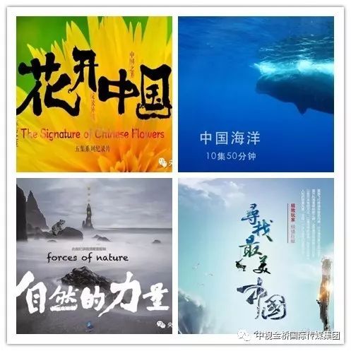 微信图片_20171101163054.jpg